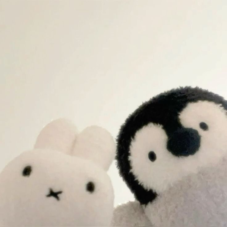 test88